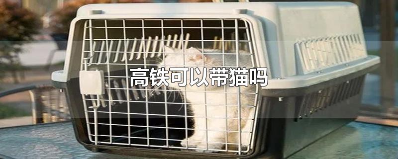 高铁可以带猫吗-最新高铁可以带猫吗整理解答