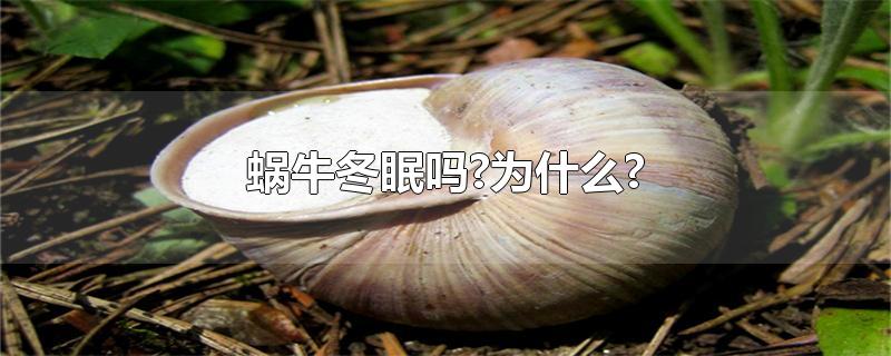 蜗牛冬眠吗?为什么?-最新蜗牛冬眠吗?为什么?整理解答