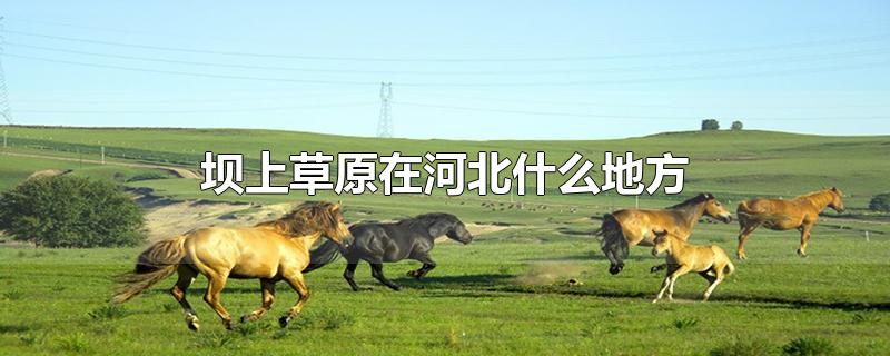 坝上草原在河北什么地方-最新坝上草原在河北什么地方整理解答