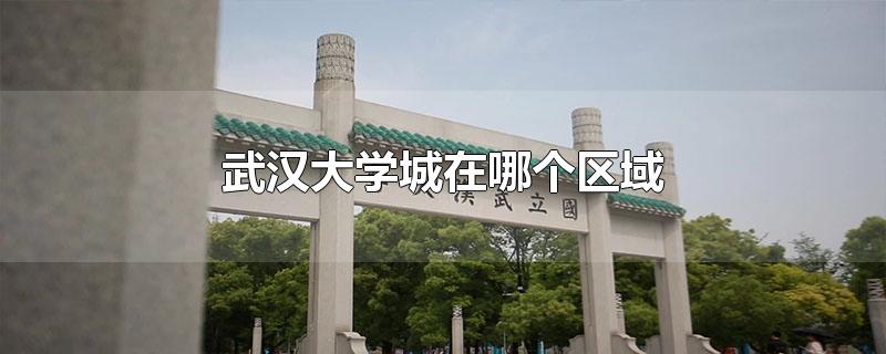 武汉大学城在哪个区域