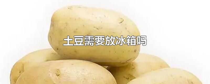 土豆需要放冰箱吗-最新土豆需要放冰箱吗整理解答