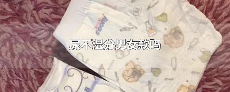 尿不湿分男女款吗-最新尿不湿分男女款吗整理解答