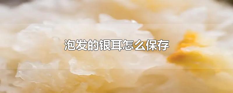 泡发的银耳怎么保存-最新泡发的银耳怎么保存整理解答