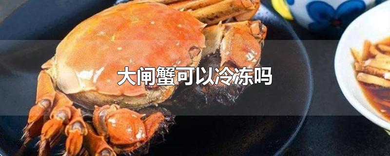 大闸蟹可以冷冻吗-最新大闸蟹可以冷冻吗整理解答