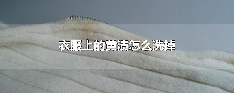 衣服上的黄渍怎么洗掉-最新衣服上的黄渍怎么洗掉整理解答