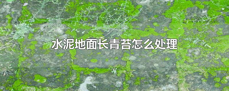 水泥地面长青苔怎么处理-最新水泥地面长青苔怎么处理整理解答