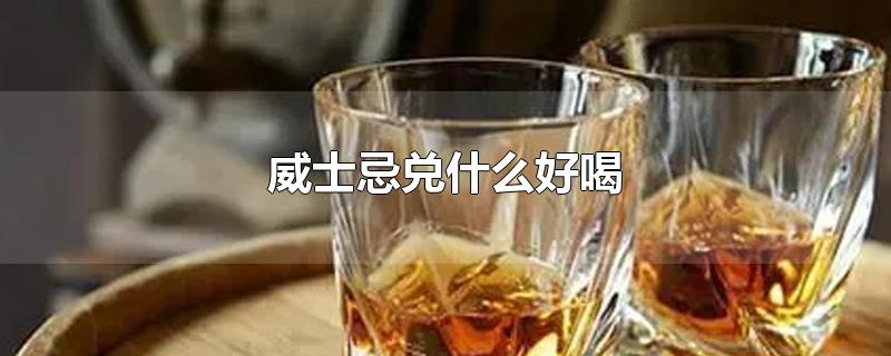 威士忌兑什么好喝-最新威士忌兑什么好喝整理解答