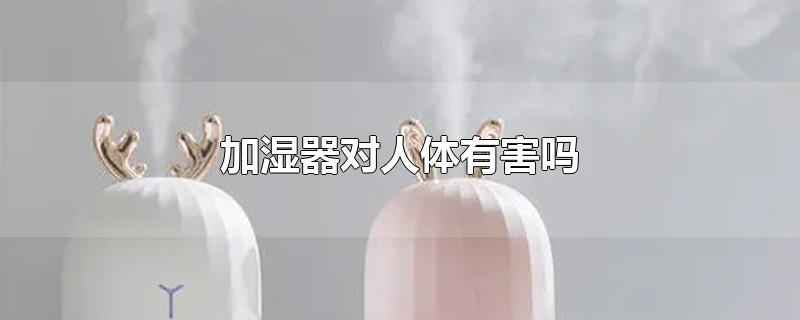 加湿器对人体有害吗-最新加湿器对人体有害吗整理解答