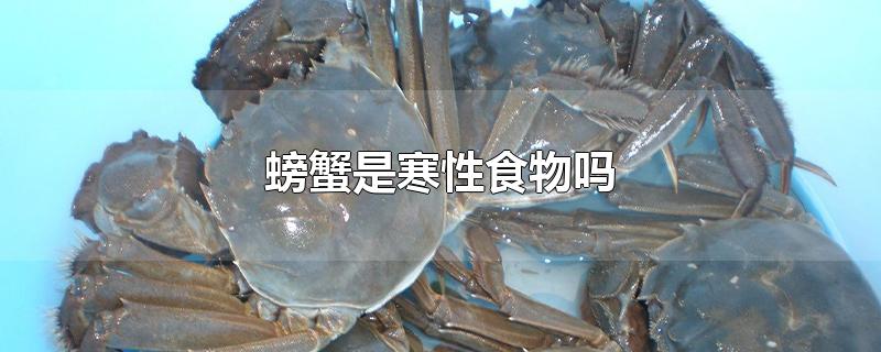 螃蟹是寒性食物吗