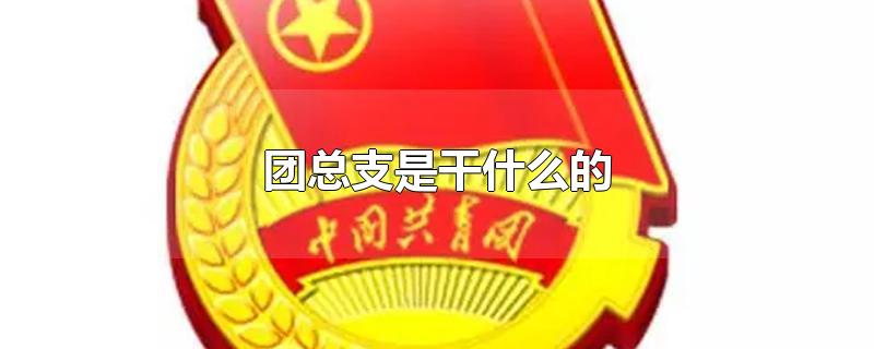 团总支是干什么的-最新团总支是干什么的整理解答