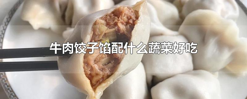 牛肉饺子馅配什么蔬菜好吃