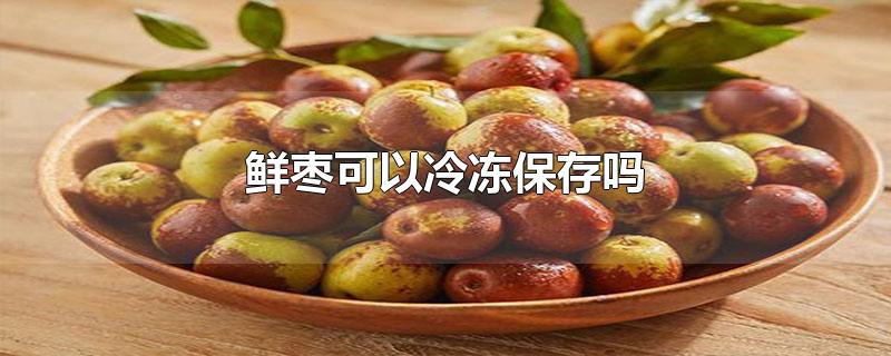 鲜枣可以冷冻保存吗