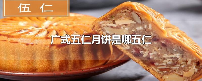 广式五仁月饼是哪五仁