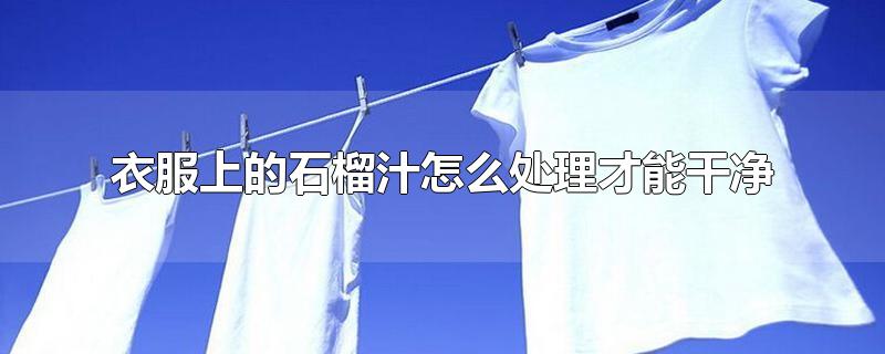 衣服上的石榴汁怎么处理才能干净-最新衣服上的石榴汁怎么处理才能干净整理解答