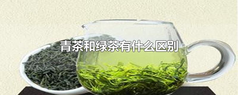 青茶和绿茶有什么区别