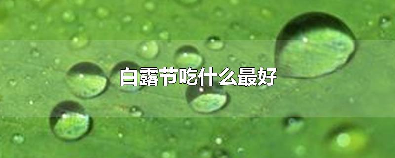 白露节吃什么最好-最新白露节吃什么最好整理解答