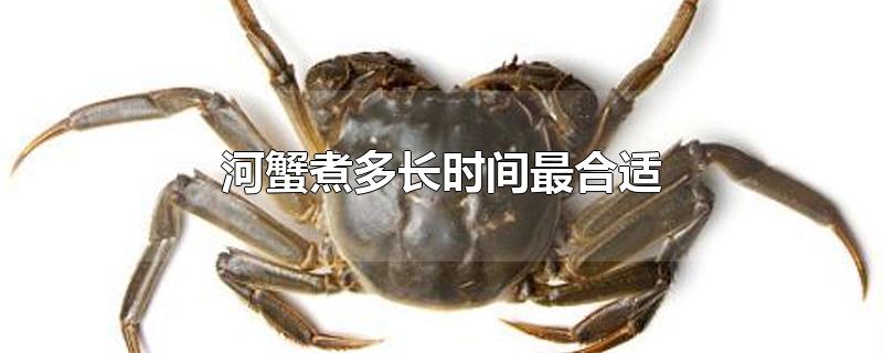 河蟹煮多长时间最合适-最新河蟹煮多长时间最合适整理解答