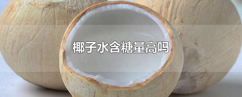 椰子水含糖量高吗