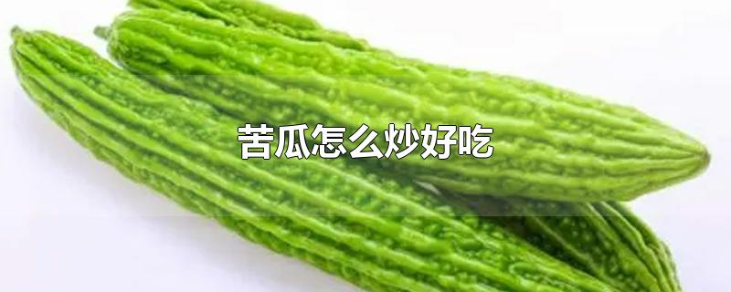 苦瓜怎么炒好吃