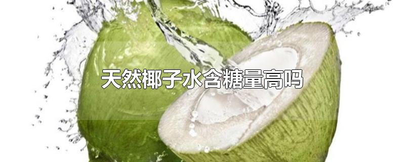 天然椰子水含糖量高吗