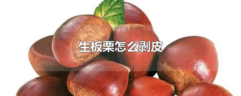 生板栗怎么剥皮