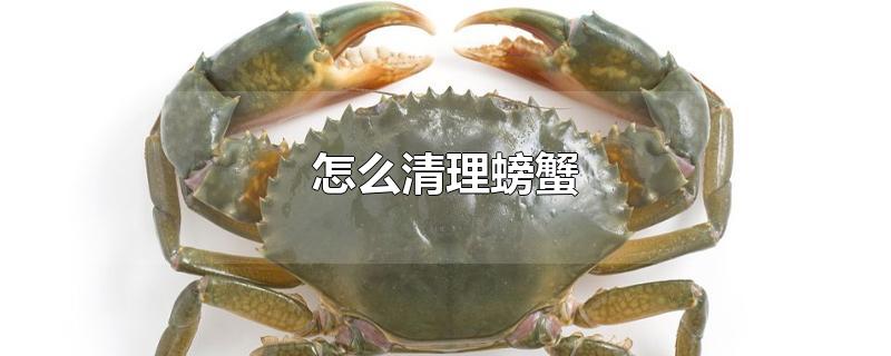 怎么清理螃蟹