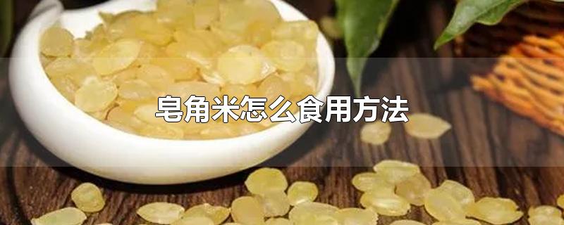 皂角米怎么食用方法