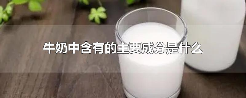 牛奶中含有的主要成分是什么-最新牛奶中含有的主要成分是什么整理解答