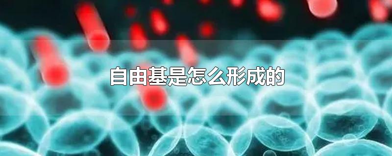 自由基是怎么形成的-最新自由基是怎么形成的整理解答