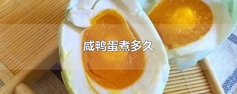 咸鸭蛋煮多久-最新咸鸭蛋煮多久整理解答