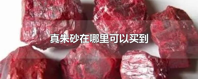 真朱砂在哪里可以买到-最新真朱砂在哪里可以买到整理解答