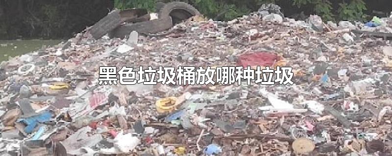 黑色垃圾桶放哪种垃圾-最新黑色垃圾桶放哪种垃圾整理解答