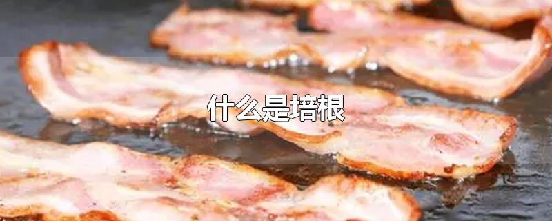 什么是培根-最新什么是培根整理解答