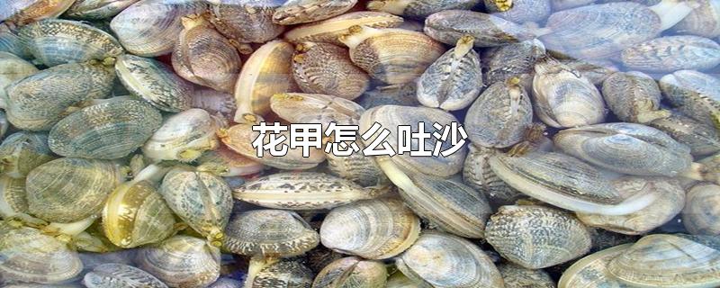 花甲怎么吐沙-最新花甲怎么吐沙整理解答