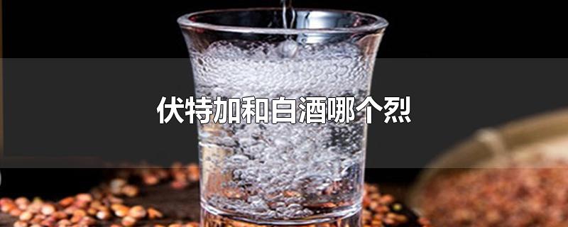 伏特加和白酒哪个烈-最新伏特加和白酒哪个烈整理解答