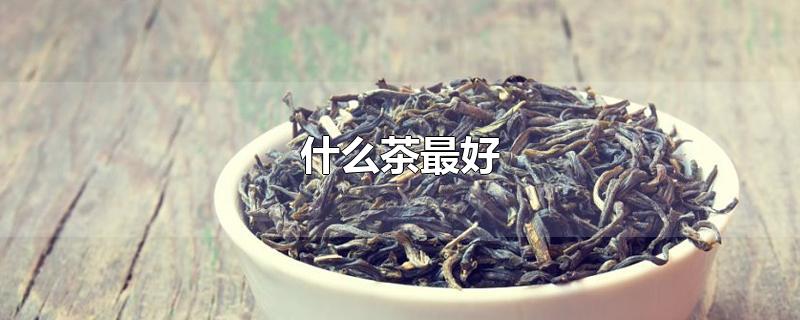 什么茶最好