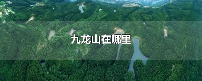 九龙山在哪里-最新九龙山在哪里整理解答