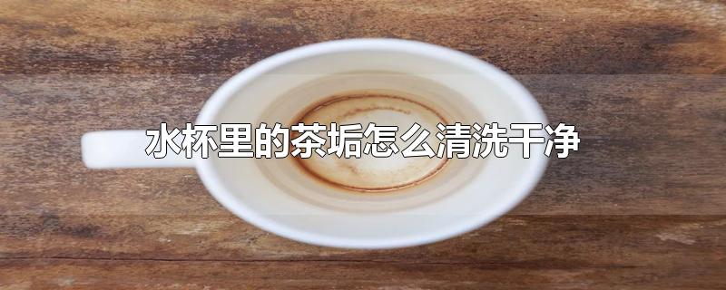 水杯里的茶垢怎么清洗干净-最新水杯里的茶垢怎么清洗干净整理解答