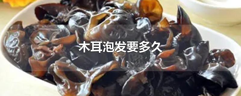 木耳泡发要多久-最新木耳泡发要多久整理解答