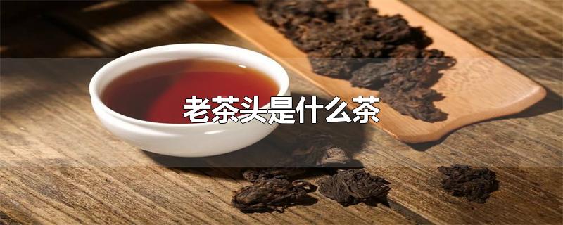 老茶头是什么茶