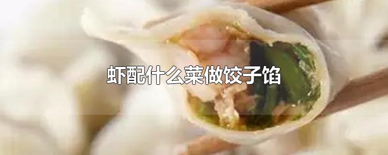 虾配什么菜做饺子馅-最新虾配什么菜做饺子馅整理解答