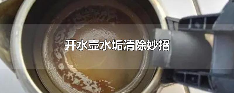 开水壶水垢清除妙招-最新开水壶水垢清除妙招整理解答