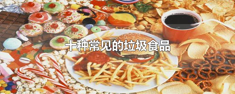 垃圾食品指的是什么