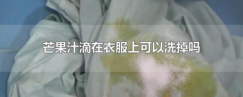 芒果汁滴在衣服上可以洗掉吗-最新芒果汁滴在衣服上可以洗掉吗整理解答