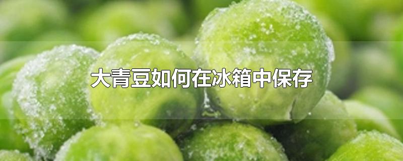 大青豆如何在冰箱中保存-最新大青豆如何在冰箱中保存整理解答