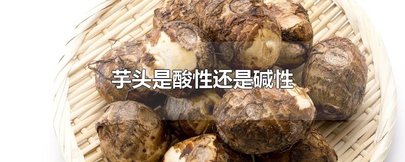 芋头是酸性还是碱性-最新芋头是酸性还是碱性整理解答