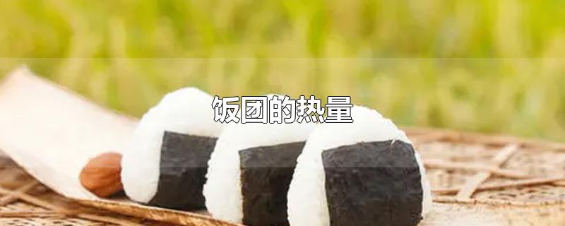 饭团的热量-最新饭团的热量整理解答