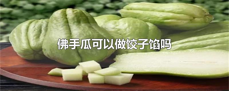 佛手瓜可以做饺子馅吗-最新佛手瓜可以做饺子馅吗整理解答