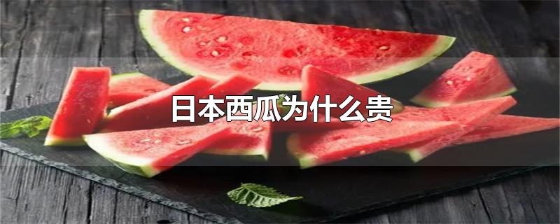 日本西瓜为什么贵-最新日本西瓜为什么贵整理解答