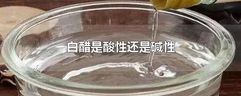 白醋是酸性还是碱性-最新白醋是酸性还是碱性整理解答